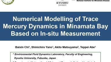 Numerical Modelling of Trace Mercury Dynamics in Minamata Bay Based on In-situ Measurement